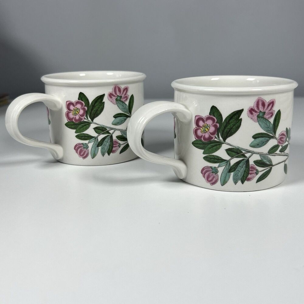 Set Of Portmeirion Botanic Garden 4 Oz Breakfast Drum Cup Mug Rhododendron